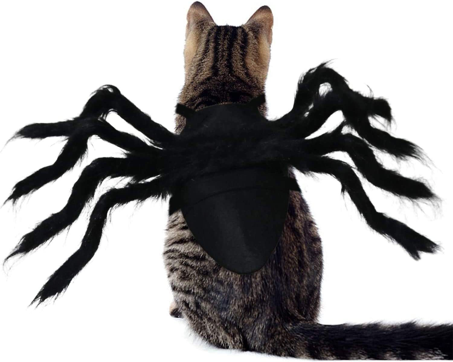 Wings for Pets