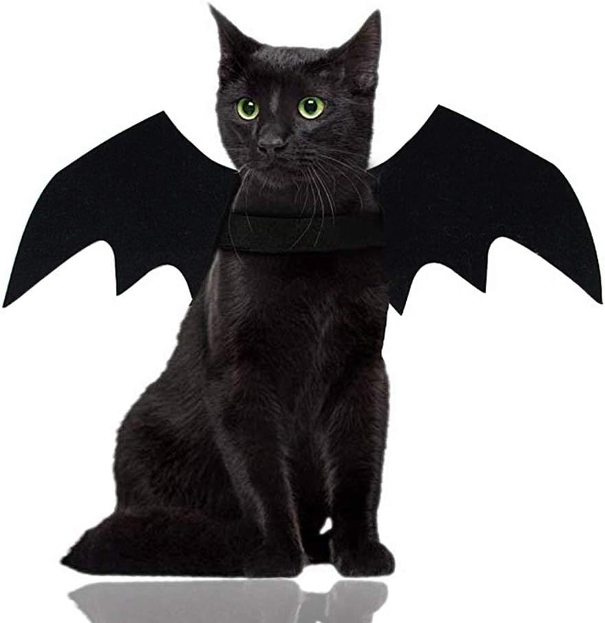 Wings for Pets