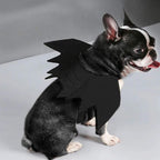 Wings for Pets