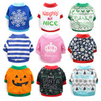 Halloween and Christmas Pet Costumes