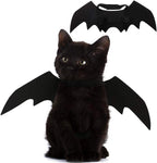 Wings for Pets