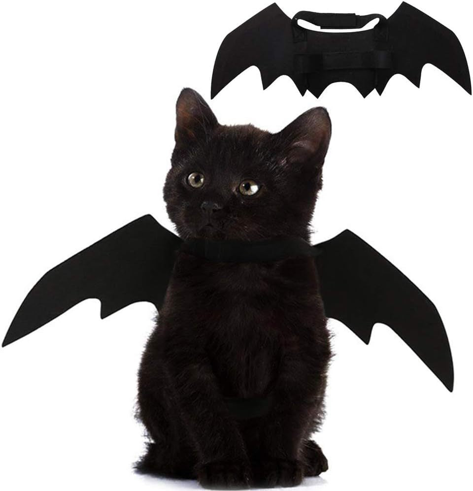 Wings for Pets