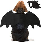 Wings for Pets