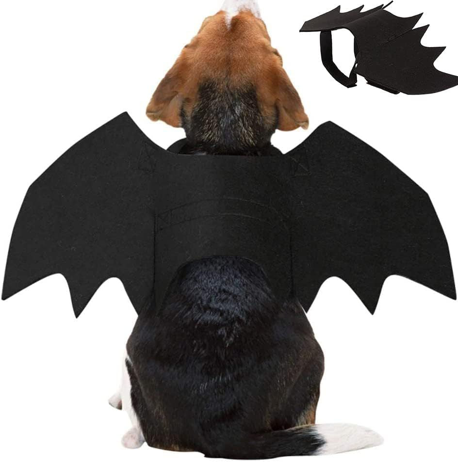 Wings for Pets