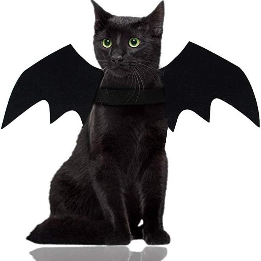 Wings for Pets
