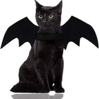 Wings for Pets